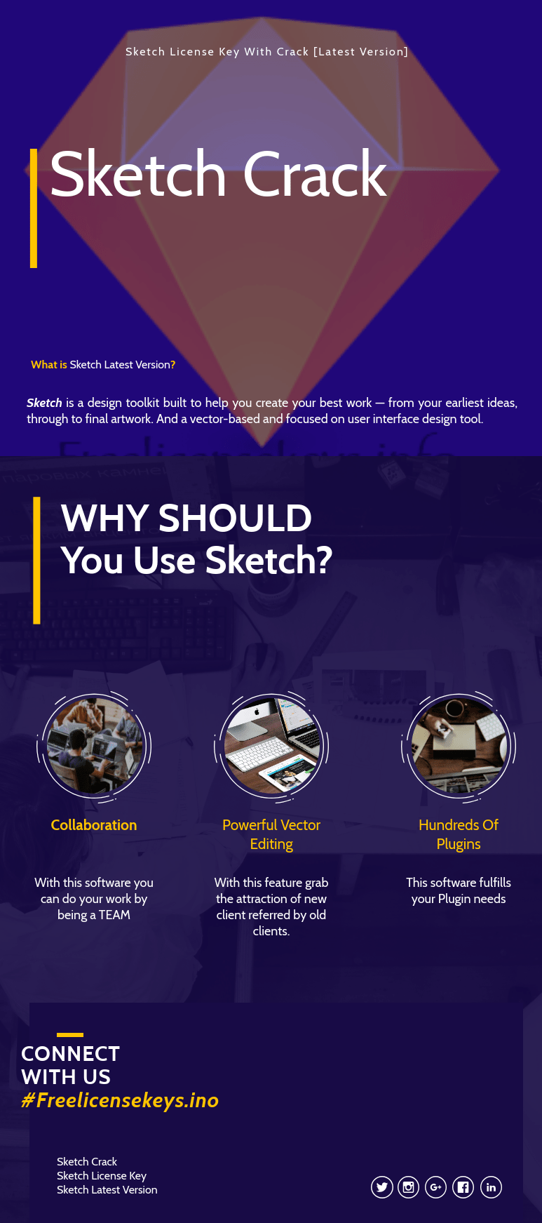 Infographic of Sketch License Key